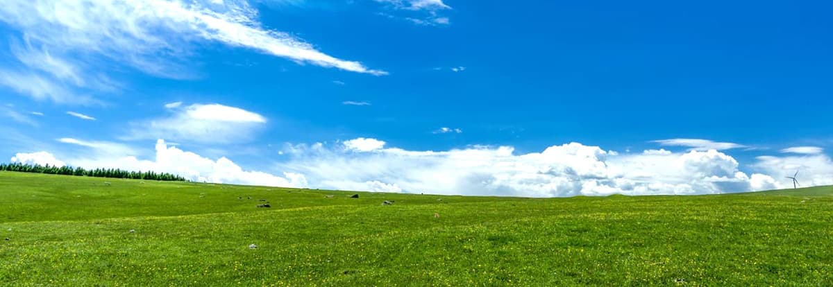 愛清館 八楠薬局イメージ画像